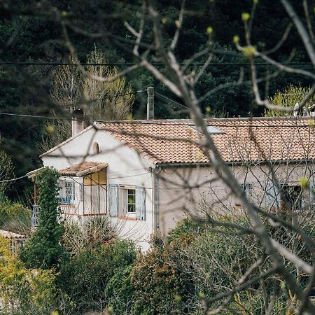 Maison D'Hotes Eco-Responsable Avec Piscine 6X12M Châteaudouble Extérieur photo