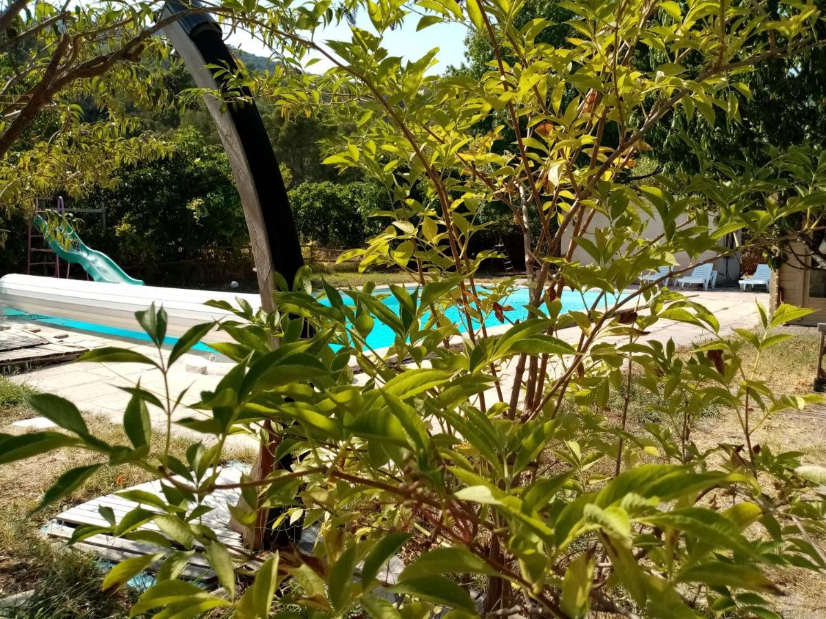 Maison D'Hotes Eco-Responsable Avec Piscine 6X12M Châteaudouble Extérieur photo