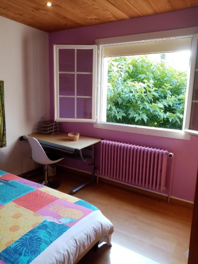 Maison D'Hotes Eco-Responsable Avec Piscine 6X12M Châteaudouble Extérieur photo