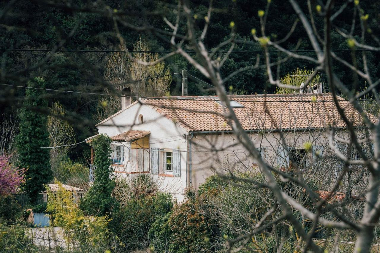 Maison D'Hotes Eco-Responsable Avec Piscine 6X12M Châteaudouble Extérieur photo